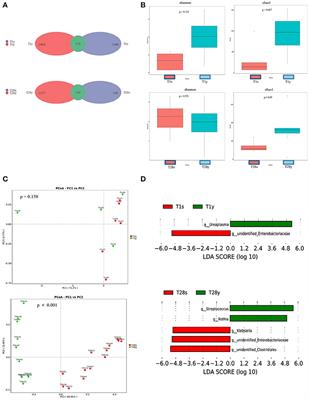 Clinical Study of Correlation for the Intestinal and Pharyngeal Microbiota in the Premature Neonates